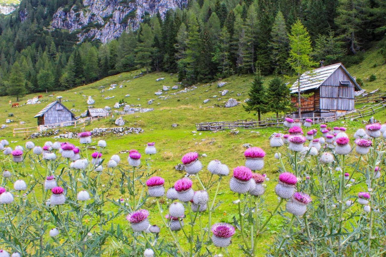 Cottage House Podgosar Bled Pokljuka Экстерьер фото
