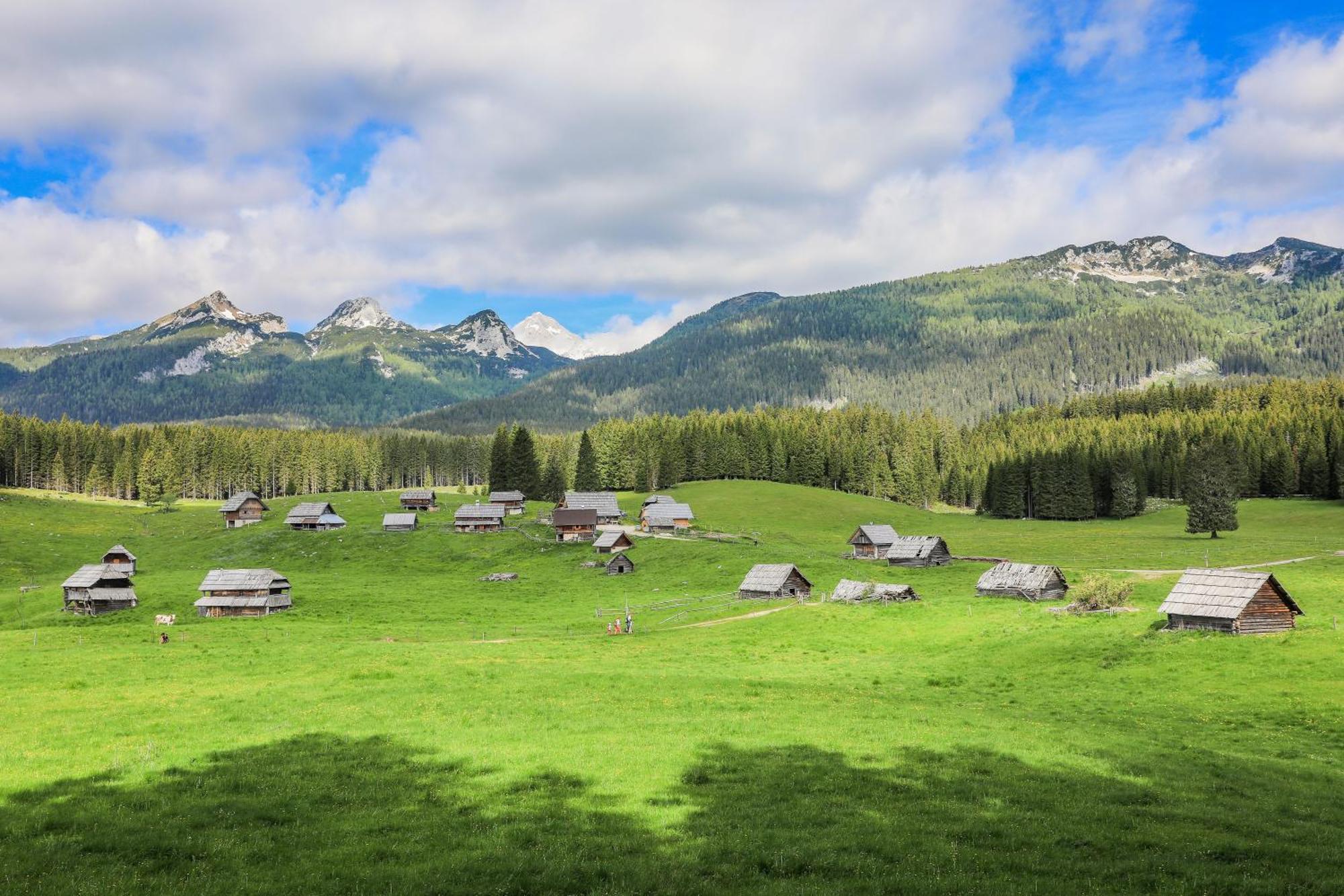 Cottage House Podgosar Bled Pokljuka Экстерьер фото